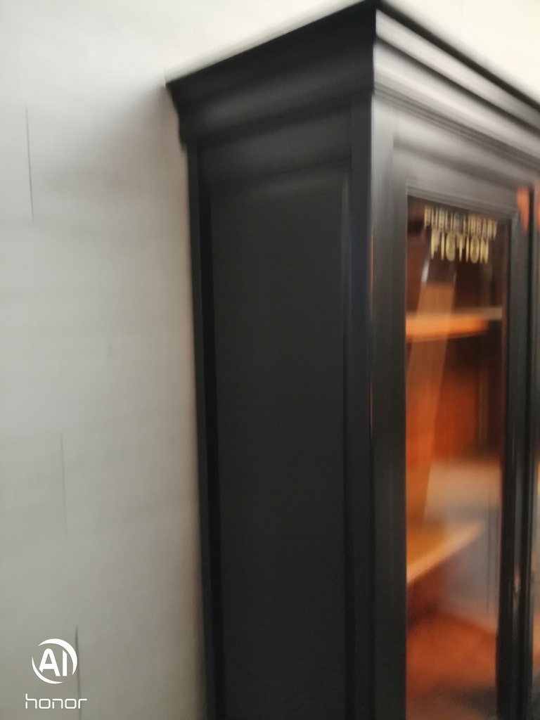 LOVELY PAINTED GLASS DISPLAY BOOKCASE / CABNIT